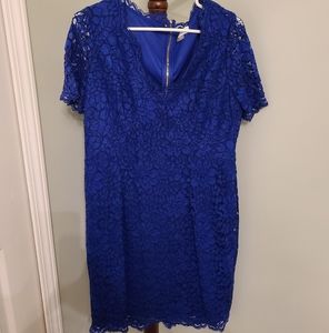 Calvin Klein Lace Dress